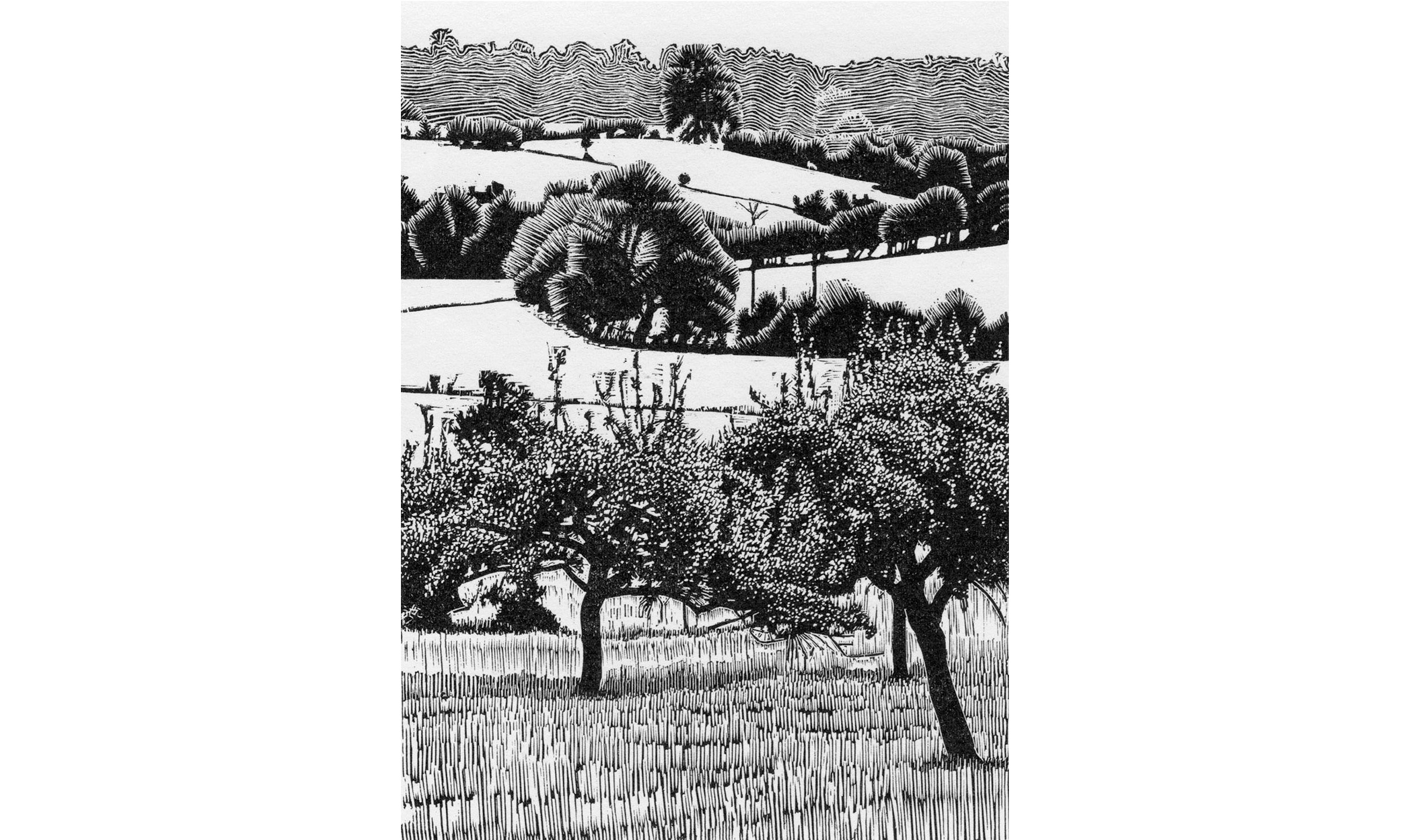 ansty-s