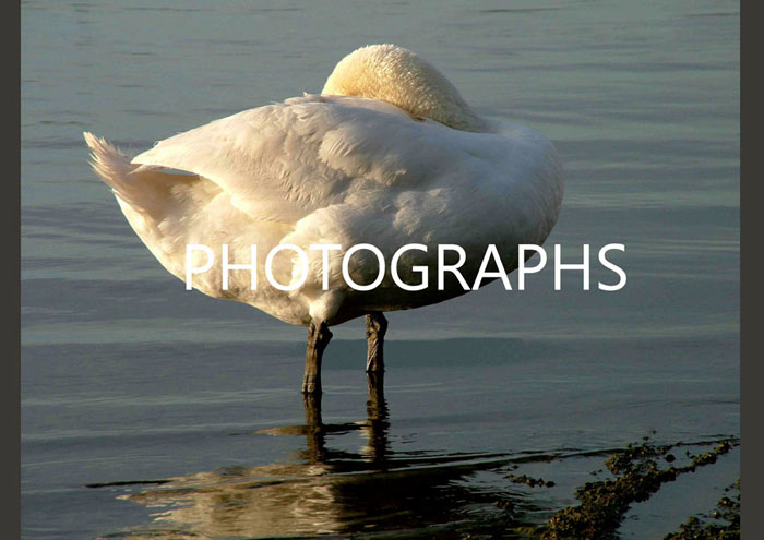 PHOTOS