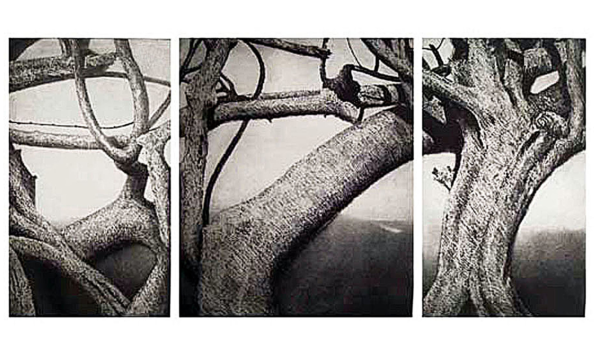 triptych-s