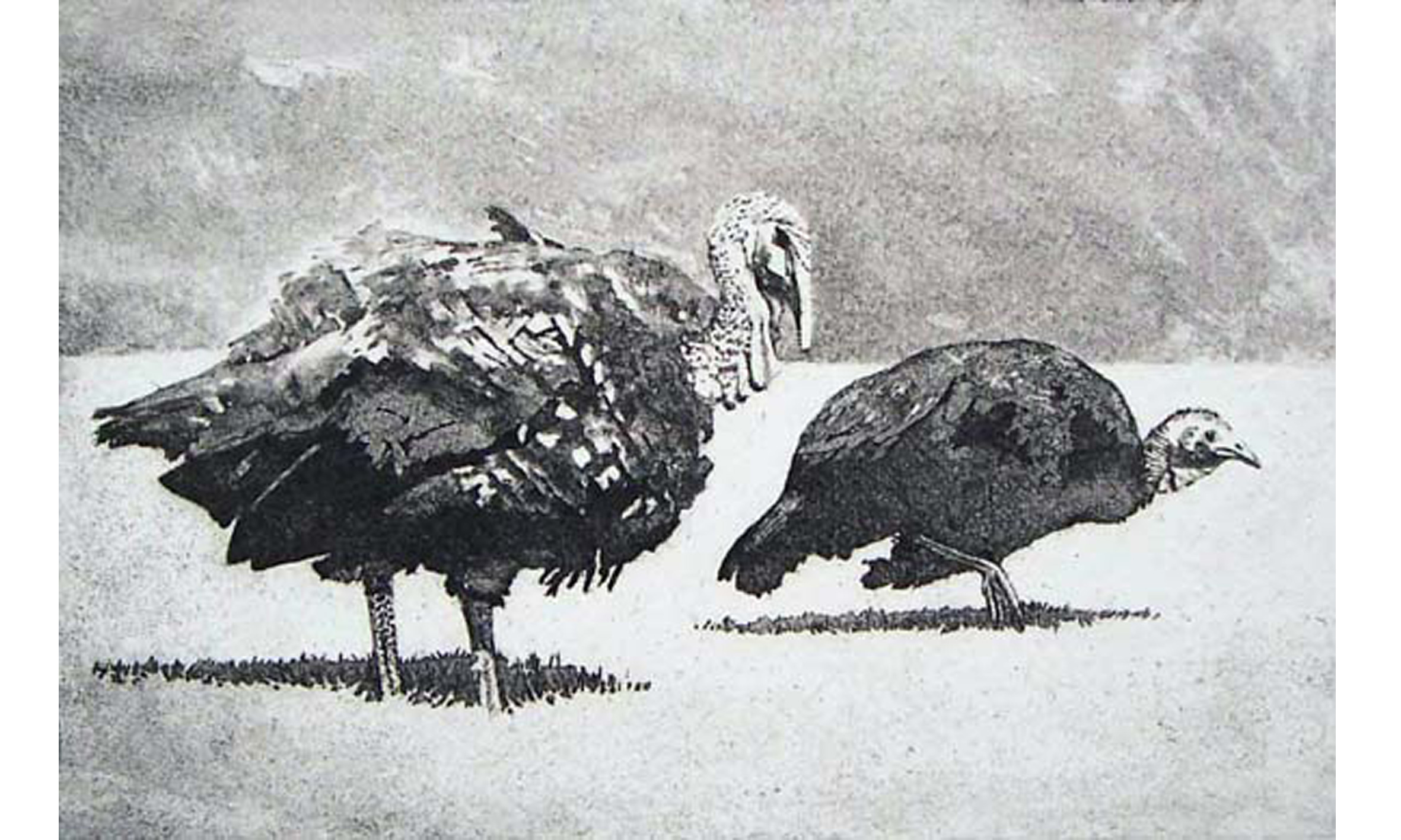 turkies-s